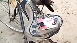 TikTok Vedio 267
