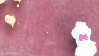 TikTok Vedio 270