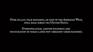 The Mustang  10 Minute Preview  Film Clip  Own it now on Blu-ray, DVD & Digital