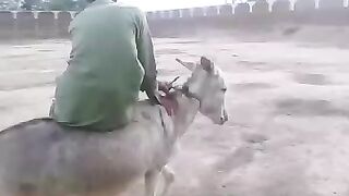 TikTok Vedio 279