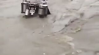 TikTok Vedio 289