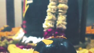 शंकर जी महाराज