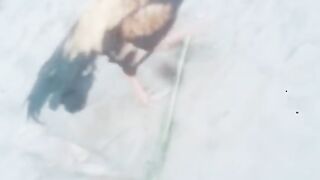 TikTok Vedio 368