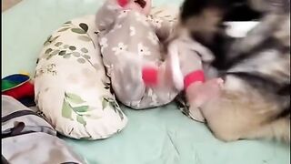 Baby and dog grow up happily together