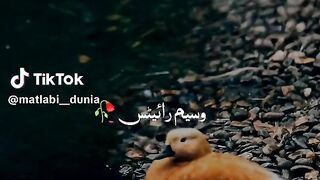 Hazrat Ali quotes in Urdu