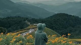 Beautiful aesthetic nature