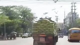 beautiful video