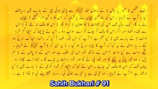 Sahih Bukhari #