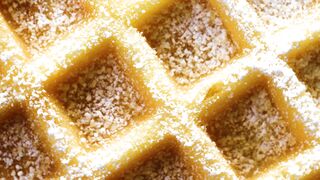 "Gourmet Galore: Inspiring Food Discoveries"