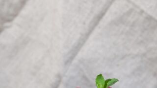 "Flavors of the World: A Global Food Journey"