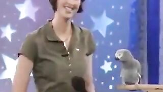 الببغاء الناطق عجيب