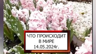 КЛИМАТИЧНИ ПРОМЕНИ 14.05.