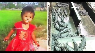 diterkam.buaya