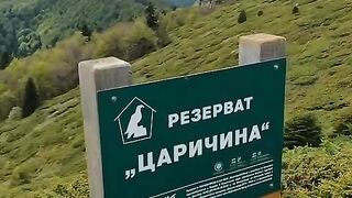 РЕЗЕРВАТ ЦАРИЧИНА
