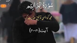 Quran Urdu Translation Whatsapp Status ????❤️