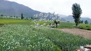 Aqwal zareen # taxe #golden world's