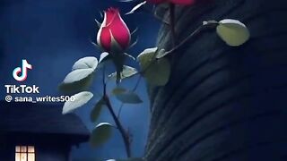 Hazrat Ali quotes in Urdu