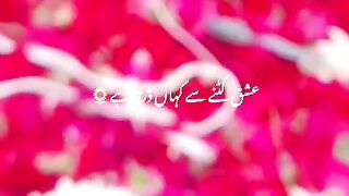 Whatsapp Status video