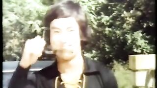 KUNG FU FEVER - LETTERBOX - ENGLISH DUBBED