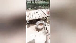 Pakistani jugaad that will blow your mind