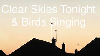 Clear Skies Tonight & Birds Singing - Wed 15/May/24