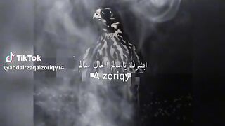 شعر