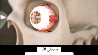 سبحان الله