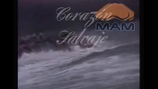 CS Capítulo 15