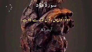 Quran