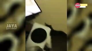 fun 3