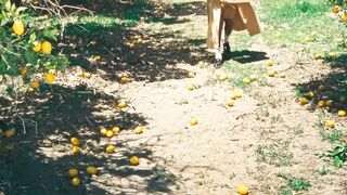 Tyler_ The Creator - JGGERNAUT (Официальное видео)(720P_HD).