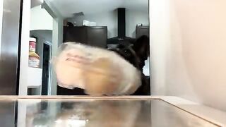 Dog Deviled Eggs