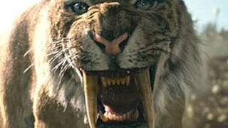 Watch This Warthog Take Down a Cheetah!