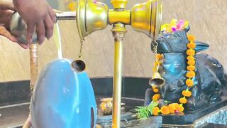 Mahadev ....#reels #instareel #instapost #instadaily #mahadev #shivbhakt #shivbhakti.