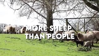 IRELAND IN 2024: What No One Told You About The Irish | 50 Intriguing Facts