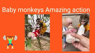 Baby monkeys
