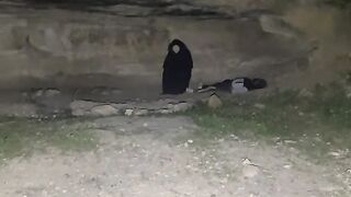 ينشئ مدون الفيديو هذا مقاطع فيديو رائعة! تعال وشاهد!    https://k.kwai.com/u/@Md6090/v7QikmCx