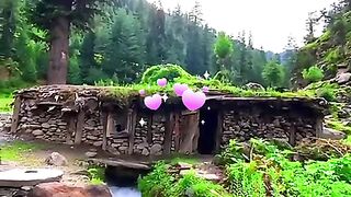 status,status video,status song,status whatsap,beast song,good song,video,natural