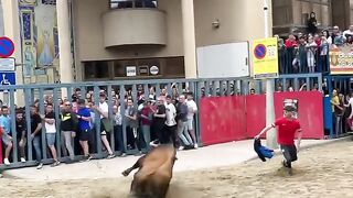 Vila-real, salida del toro de el Montecillo #toros #toro #fiesta #bull #viral.