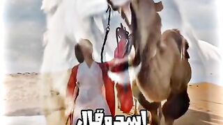 محمود