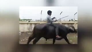 Funny Things Happen Only in Pakistan/Comedy/Be a Pakistani.