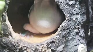 Adorable Friend