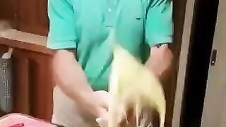 The end ???????????? #viral #shorts #fails #funny #fail