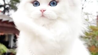 So cute ????