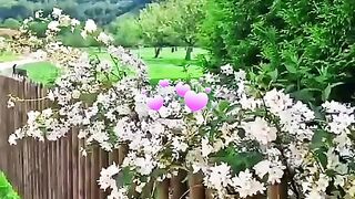 status,status video,status song,status whatsap,beast song,good song,video,natural