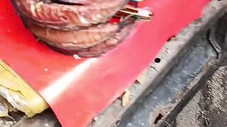 Amazing video