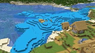 Minecraft vs. Animation ????