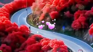 status,status video,status song,status whatsap,beast song,good song,video,natural