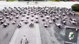 Germany vs Russia