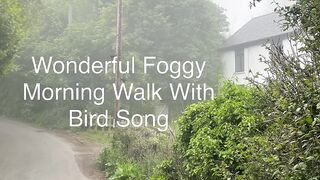 Wondered Foggy Morning Walk with Bird Song - Thu 16/May/24